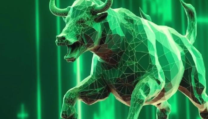 Analistler Amaçları Belirledi: Bu 3 Altcoin Patlamaya Hazır!