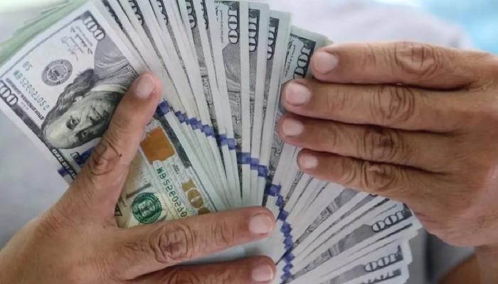 Balinalar Birikim Yaparken Binance Listeli Altcoin’e Para Yağıyor