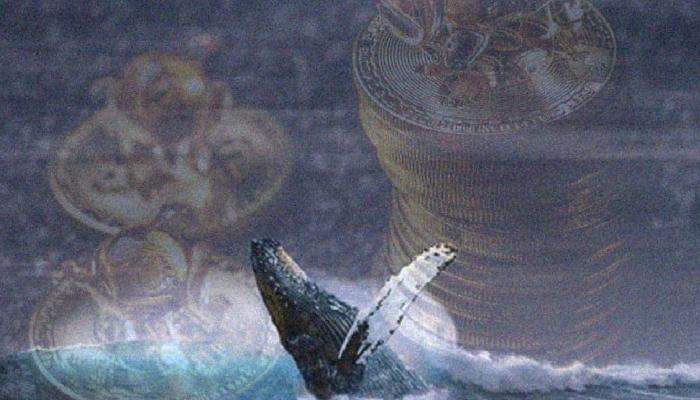 Binance Balinası Harekete Geçti! Hangi Altcoinleri Topluyor?