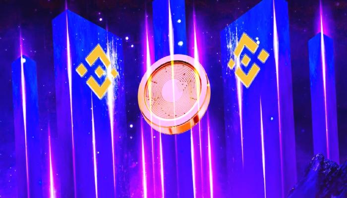 Binance, Çöken O Altcoin’e Müdahale Etti: Oranları Düşürdü!
