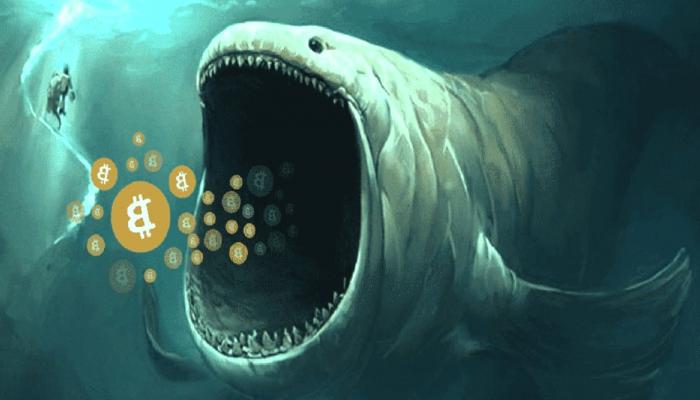 Binance Listeli Bu Altcoin Balina Hareketiyle Sert Yükseldi!