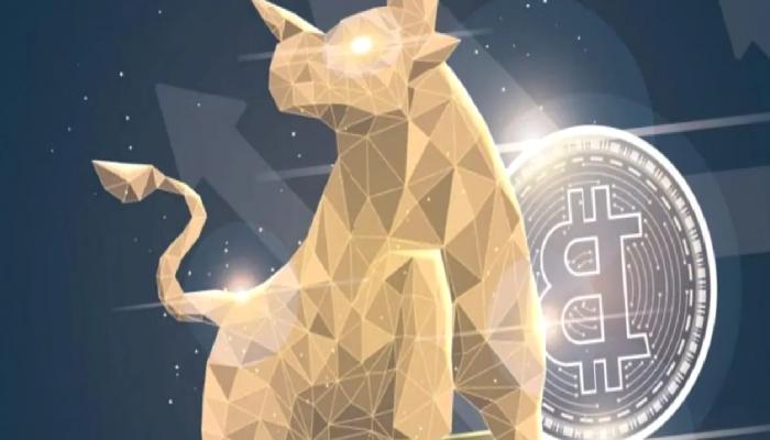 Bitcoin Birikim Aşamasında! Büyük Oyuncular Geliyor mu?