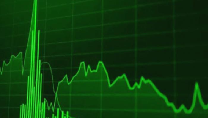 Bu 2 Altcoin Düşüşe Meydan Okuyor! Balinalar Destekliyor