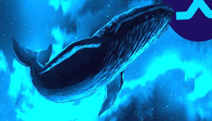 Bu Altcoin Balina Saldırısında! Potansiyel Kayıp Korkutuyor