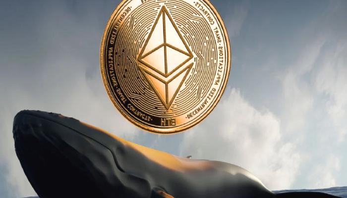 Dev Balina, Binance Borsasından Bu Altcoin’i Cüzdanına Çekti!