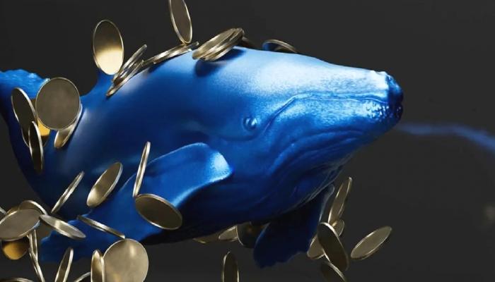 Dev Balina Bu Altcoin’i Borsaya Taşıyor: Fiyatı Dumplayabilir!