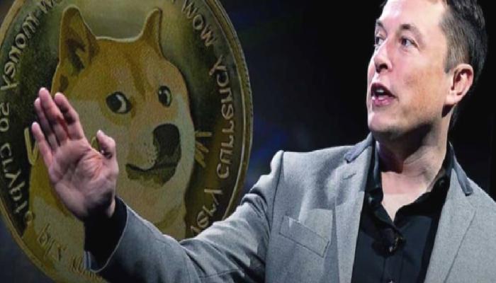 DOGE Neden Yükseliyor? Elon Musk Biyografisi Tesirli Oldu