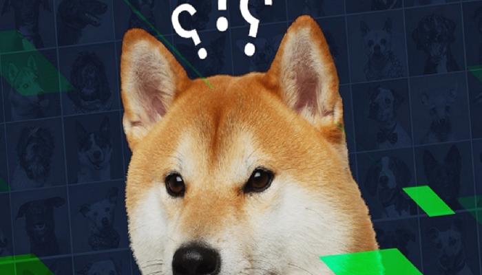 Dogecoin (DOGE) Bir Dönemeçte! Hangi Tarafa Devam Edecek?
