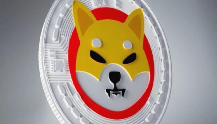Google Trends Açığa Çıkardı: SHIB, Cardano ve DOGE’u Geride Bırakıyor!