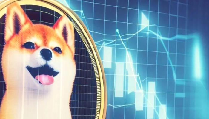 Olumlu Sinyaller Geliyor: Shiba Inu Gözünü Bu Gayeye Dikti!