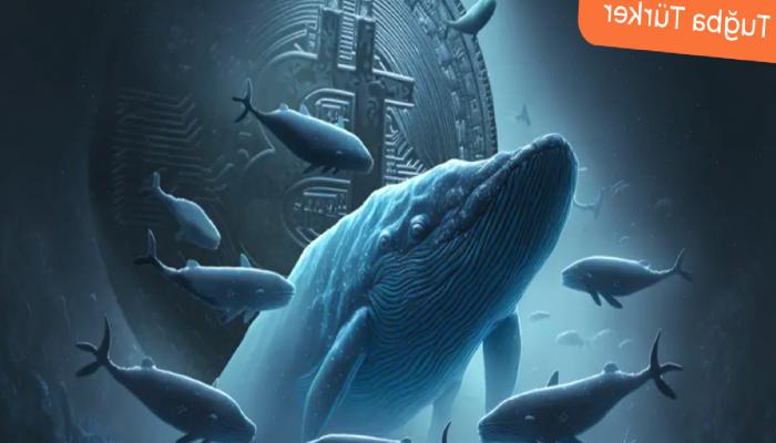 Onchain datalarda olumlu sinyaller: Bitcoin’de neler oluyor?