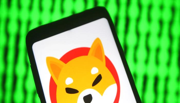 Ralli Kapıda! Shiba Inu İçin Bu Gelişmeye Dikkat