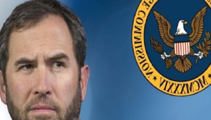 Ripple CEO’su SEC’e Sert Çıktı: Denetimden Çıktı!