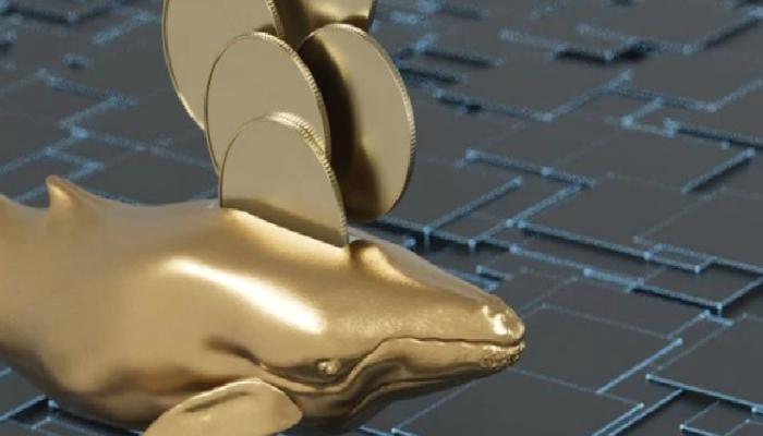 Satış Dalgası Mı? Bu Ethereum Balinası 8 Yıl Sonra Uyandı