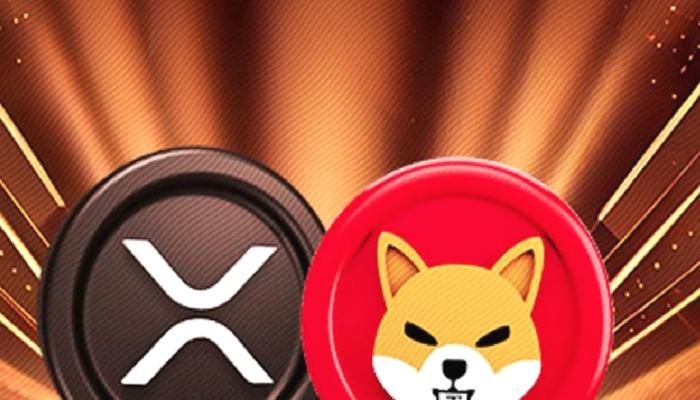 SHIB ve XRP’de Milyonlarca Dolarlık Tasfiye! Neler Oldu?
