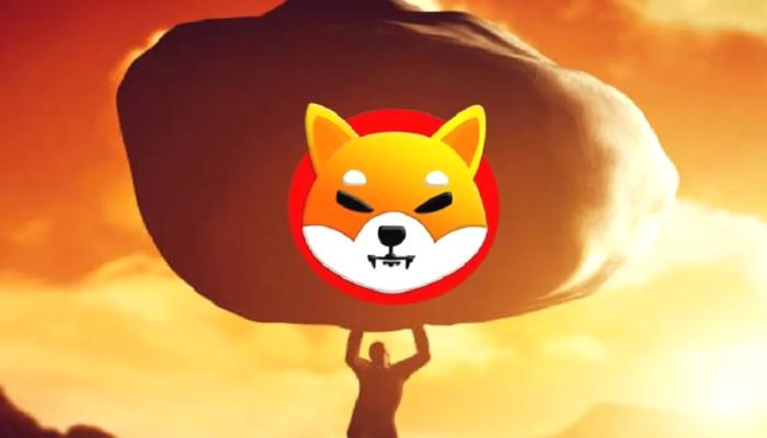 Shiba Inu 2024’e Kadar 0,1 Dolara Ulaşabilir mi? İşte Gerçekler!