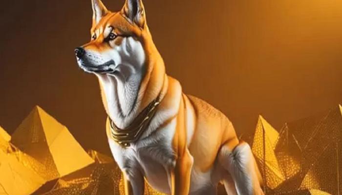 Shiba Inu Bir Eşiği Daha Aştı! SHIB Fiyatı Ay Sonunda Ne Olacak?