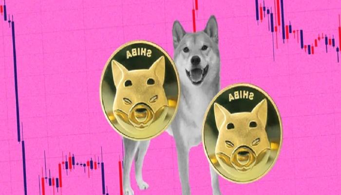 Shiba Inu Bir Kavşağa Geldi: Sıçrayacak mı Tabanlara mi Dalacak?
