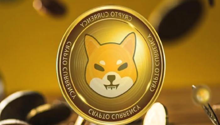 Shiba Inu Sakinliği Bu Gelişmeyi Tetikledi! Neler Olacak?