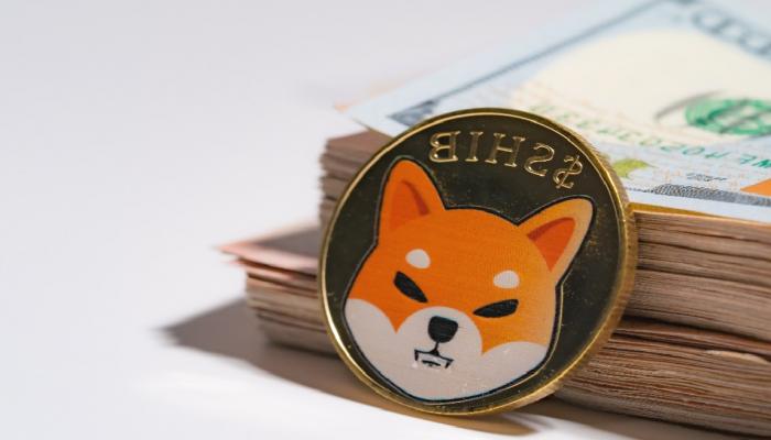 Shiba Inu (SHIB) teknik yapısıyla dikkat çekti!