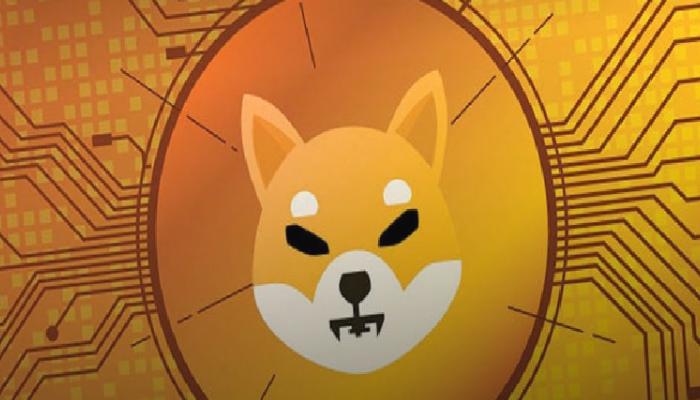 Shiba Inu’dan yeni Shibarium uygulaması: “Devrim yaratacak”