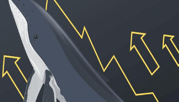 Üç Balina Adresi Binance’e Yüklü Ölçüde Altcoin Aktarıyor!