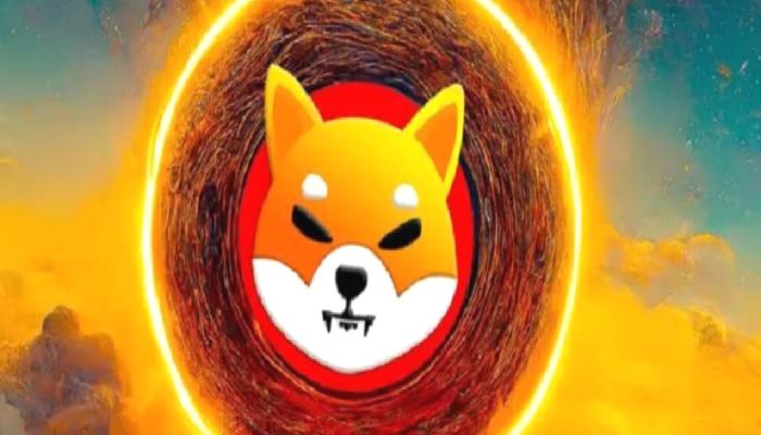 Uzman Görüşü: Shiba Inu İçin Bir Patlama Kaçınılmaz mı?