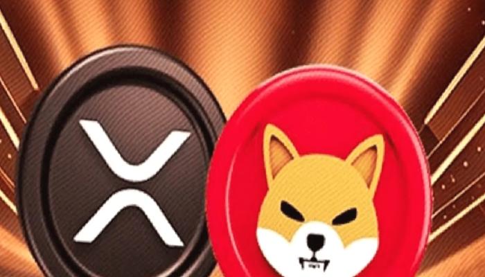 Yapay Zeka Belirledi: SHIB ve XRP Ekim’de Bu Düzeylerde Olacak!