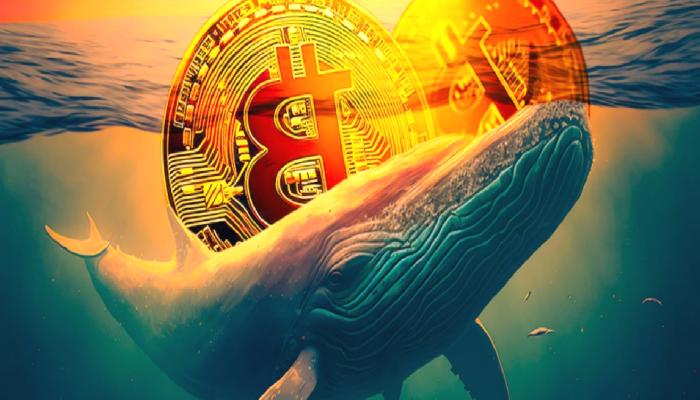 459 dolardan BTC alan balina, altı yıl sonra işlem yaptı!