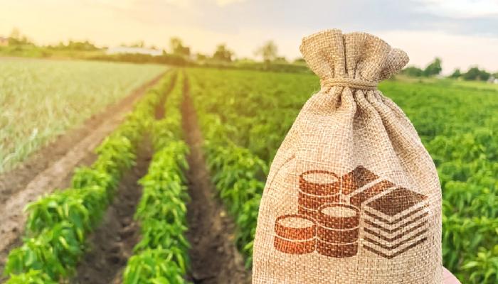 Ayağını yere sağlam basan token’lar geliyor