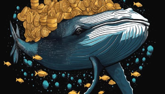 Balinalar Bu 3 Altcoin’e Saldırıyor: Yüklü Kâr Aldılar!