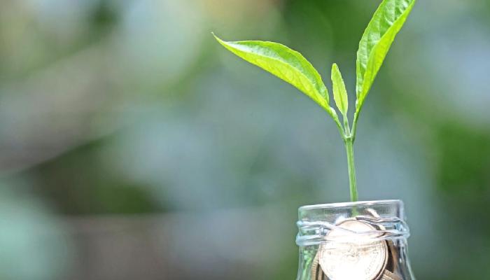 Bitcoin Borsası OKX Bu Altcoin’e Yatırım Yaptı