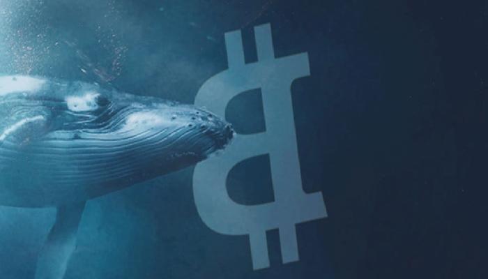 Bitcoin Uçarken, Ünlü BTC Balinası Yüklü Satış Yapıyor!