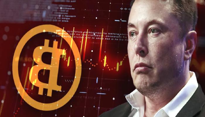 Bitcoin Yaratıcısı Nedeniyle Dogecoin Hayranı Elon Musk Hedefte!
