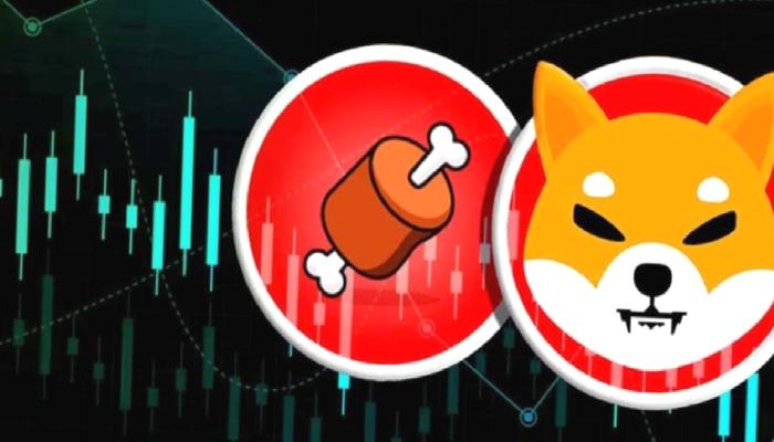 Bone ShibaSwap (BONE) için hareketli saatler başladı!