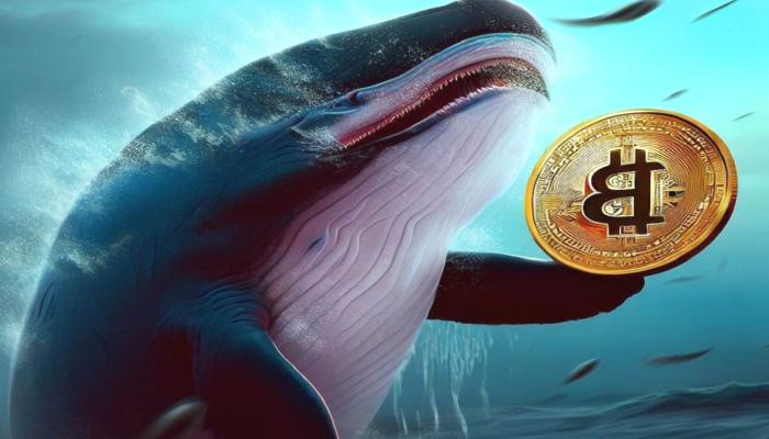 Dev Balina FOMO’ya Kapıldı: Kısa Müddette 2 Bitcoin Kaybetti!
