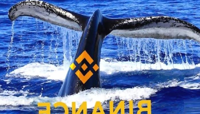 Dikkat: Gizemli Balina Binance’e Bu Altcoin’den Yığıyor!