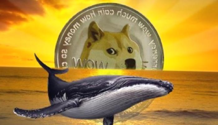 DOGE Balina İşlemleri Düşüşte! Bu Fiyat İçin Ne Manaya Geliyor?