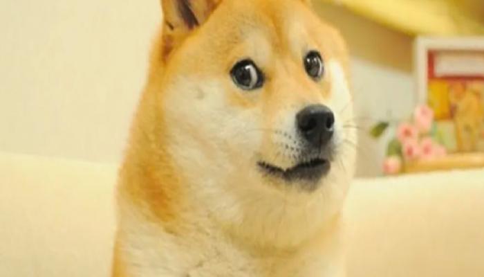 Dogecoin (DOGE) sembolü köpeğin heykeli dikiliyor