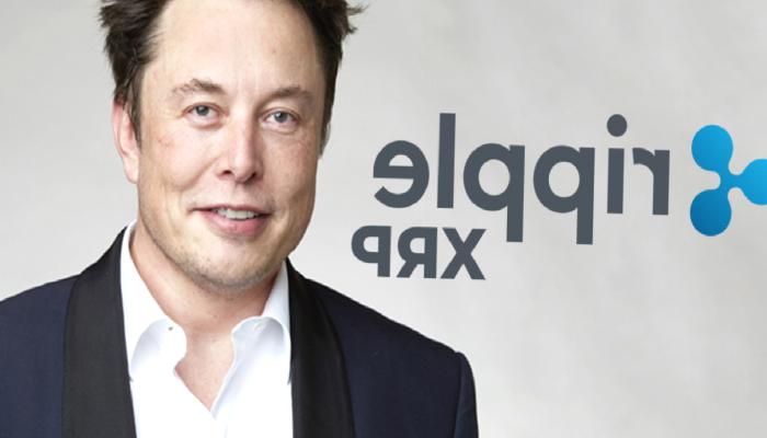 Elon Musk’a XRP Topluluğundan Reaksiyon Geldi! İşte Sebebi