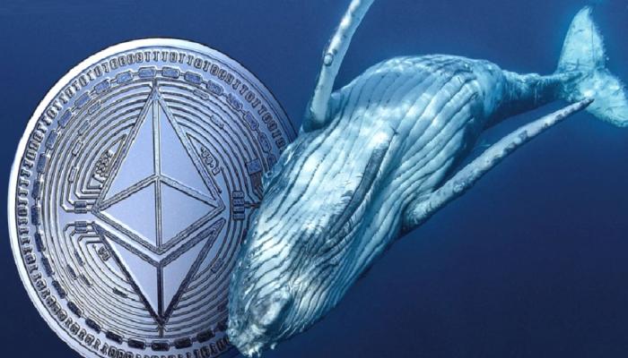 Ethereum Balinaları Harekete Geçti: ETH’leri Topluyorlar!