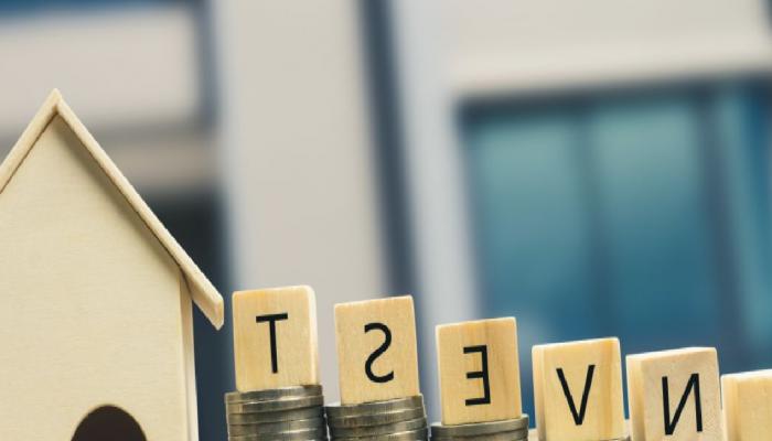Ethereum Tabanlı Proje Dev Yatırım Aldı