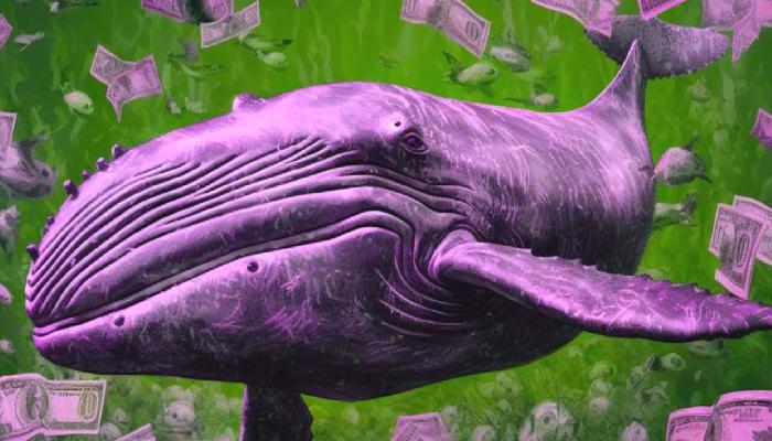 PEPE’den Milyonlar Kazanan Balinanın Tercihi Bu Altcoin