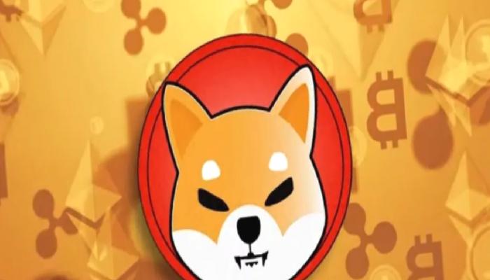 SHIB ve Bu 4 Altcoin İçin Güncelleme Duyuruları Geldi!