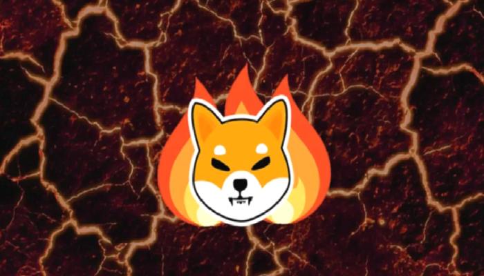 Shiba Inu Takımından Topluluğa İhtar: Bunlara Dikkat Edin!