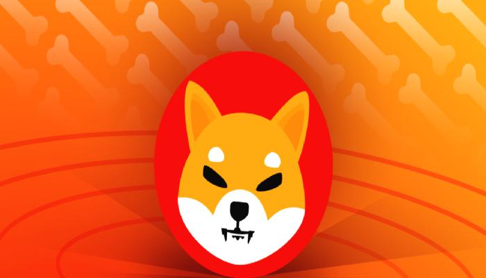 Shiba Inu’da Şifreli İleti Geldi! SHIB Yatırımcısı Coştu
