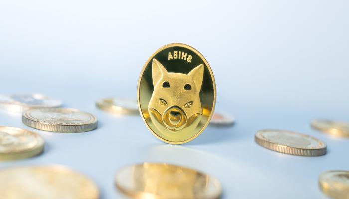 Shiba Inu’dan ikaz: Tüm varlıklarınızı kaybedebilirsiniz!