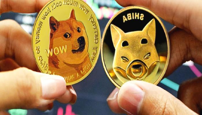 Tanınan Analist: SHIB ve DOGE İçin Hayallere Kapılmayın!