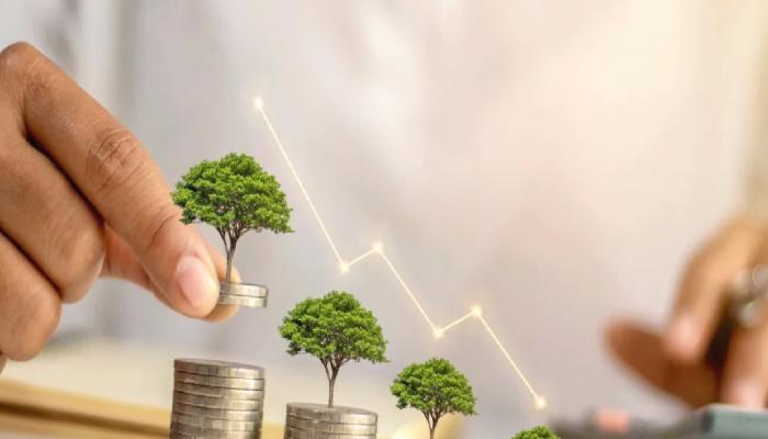 Türkiye Merkezli Fon Binance Listeli Bu 2 Altcoin’e Yatırım Yapıyor