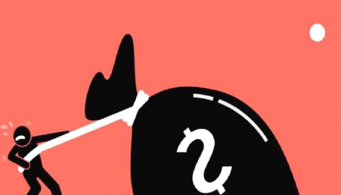 Türklerin de Yöneldiği Altcoin’de Rug Pull Faciası! Fiyat Çakıldı